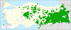 Kurdish majority Turkey-es