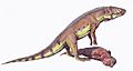 Ornithosuchus1DB
