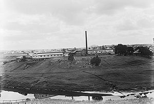 Queensland Woollen Manufacturing Company mill, North Ipswich, circa 1920