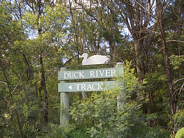 South Granville Duck River Track.JPG