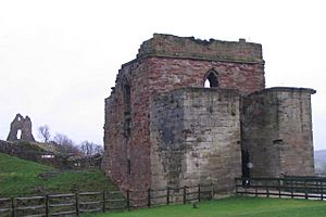 The entrance to Tutbury Castle - geograph.org.uk - 632661