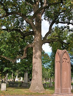 Tulip Tree and Gravestones in Old North Cemetery, Hartford, CT - September 24, 2014
