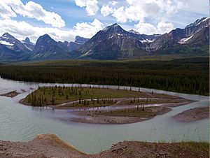 Athabasca River, Icefields Parkway (2987364327).jpg