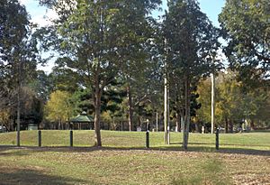Grassed area at Petrie Road Rest Area at Petrie, Queensland.jpg