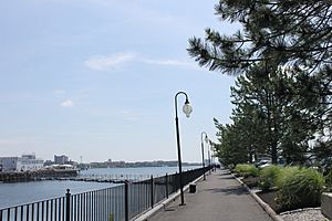 Harbor Walk in Boston, MA IMG 2814