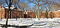 Harvard yard winter 2009j
