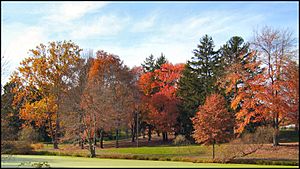 Kenilworth Park in the Fall