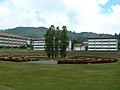 Laberinto Cromovegetal - Universidad Simón Bolívar