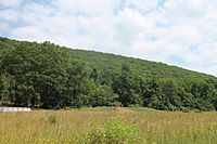 Lee Mountain in Briar Creek Township, Columbia County, Pennsylvania.JPG