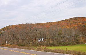 Miller Mountain in Eaton Township, Wyoming County, Pennsylvania