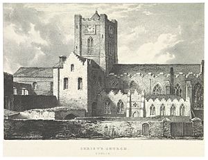 NEWENHAM(1830) p115 DUBLIN - CHRIST'S CHURCH