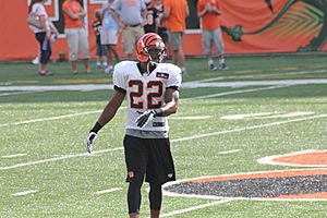 Nate Clements, Bengals training camp 2012