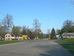 Residential road in Crown Heights