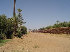 Agdal garden, Marrakech (2847839030)