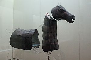 Horse Armor, Tomb of Marquis Yi of Zeng (10170676483)