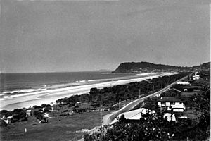 StateLibQld 1 111140 Panoramic view of the beach at Burleigh Heads on the Gold Coast, ca. 1940