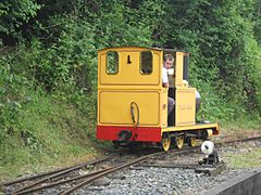 09I07I2016 Amberley Railway Gala D1