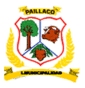 Coat of arms of Paillaco