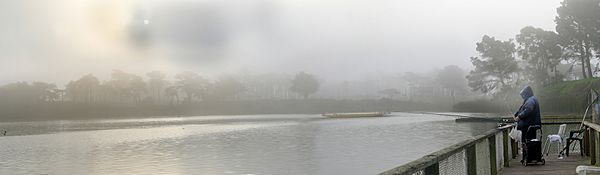 Foggy morning at Lake Merced