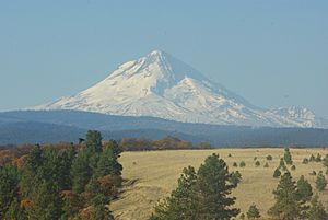 Mount Hood as seen from Pleasant Ridge above Pine Hollow