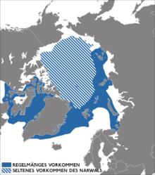 Narwhal distribution map