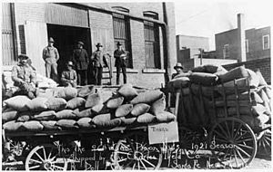 Pinon nuts packed for shipment, 1921