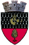 Coat of arms of Dolhasca