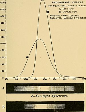 Light energy, its physics, physiological action and therapeutic applications (1904) (14571432288)
