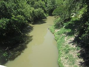 Navasota River in TX IMG 6231.jpg