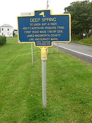 New York State historic marker – Deep Spring