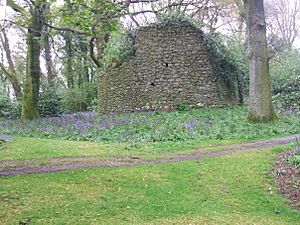 Norman Round Tower, Coney Island, Lough Neagh