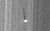PIA11665 moonlet in B Ring cropped.jpg