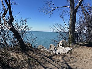 Point Pelee National Park looking out at Lake Erie
