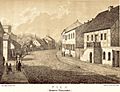 Album widokow przedstawiajacych miejsca historyczne Ksiestwa Poznanskiego i Prus Zachodnich 1880 (5414442) (cropped)