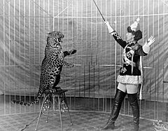Female animal trainer and leopard