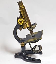 Mikroskop-seibert hg
