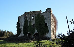 Puck's Castle, Dun Laoghaire, Feb 2019