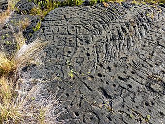 Puna-Ka'u Historic District, Hawaii Volcanoes National Park - Pu`u Loa petroglyphs 1.jpg