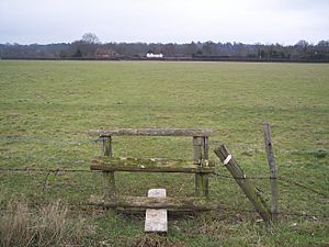 Site of Penshurst Airfield.jpg