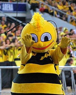 A Bee, Skra Bełchatów mascot