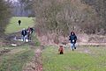 Bloodhound trials in the UK