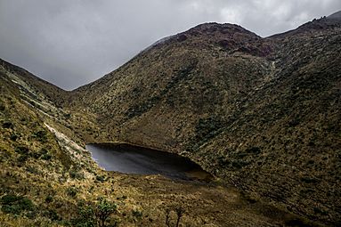 Laguna Negra - Volcan Azufral