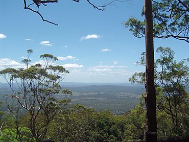 View north from The Knoll Tamborine Mountain.JPG