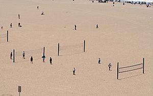 Volleyball on the Beach (523163582)