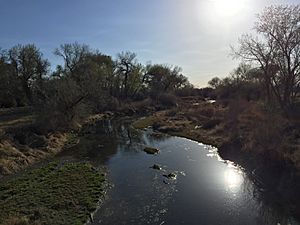 2015-04-02 17 43 08 View west up the Carson River from U.S. Route 50 just west of Fallon, Nevada