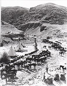 9th Australian Light Horse Regiment, in the Jordan Valley