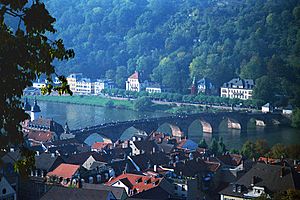 A001, Heidelberg, Germany, the Old Bridge from the Castle, 1990