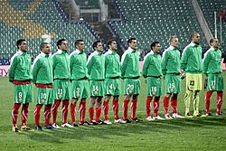 Bulgaria national football team 2010