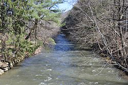 East Fork Sinnemahoning Creek at Wharton