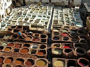 Leather tanning, Fes